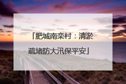 肥城南栾村：清淤疏堵防大汛保平安