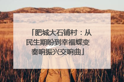 肥城大石铺村：从民生期盼到幸福蝶变奏响振兴交响曲