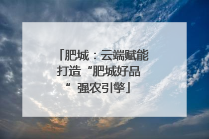 肥城：云端赋能 打造“肥城好品”强农引擎