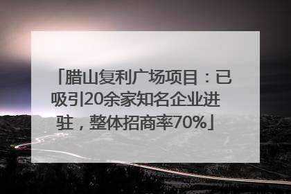 腊山复利广场项目：已吸引20余家知名企业进驻，整体招商率70%
