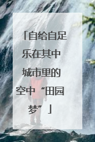 自给自足 乐在其中 城市里的空中“田园梦”