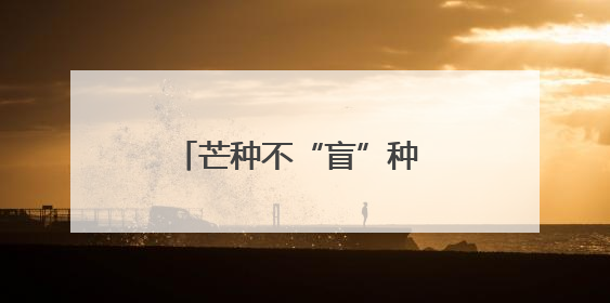芒种不“盲”种 AI“慧”种田