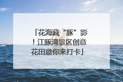 花海藏“豚”影！江豚湾景区创意花田邀你来打卡
