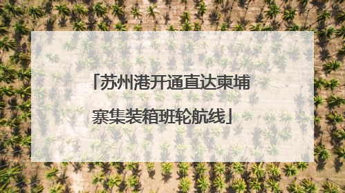 苏州港开通直达柬埔寨集装箱班轮航线