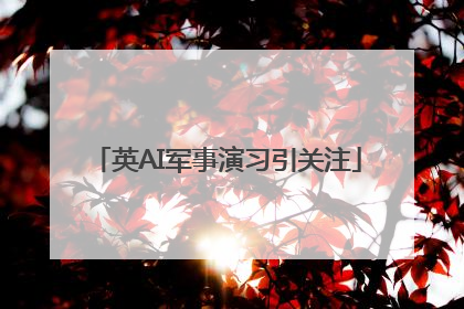 英AI军事演习引关注