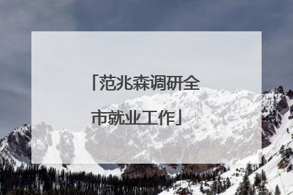 范兆森调研全市就业工作
