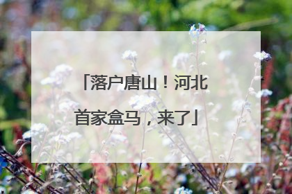 落户唐山！河北首家盒马，来了