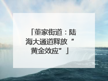 董家街道：陆海大通道释放“黄金效应”