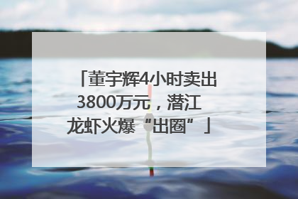 董宇辉4小时卖出3800万元，潜江龙虾火爆“出圈”