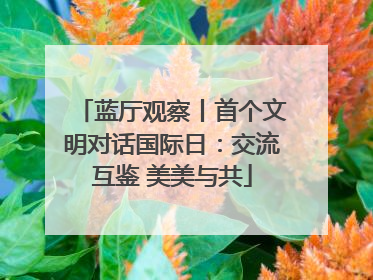 蓝厅观察丨首个文明对话国际日：交流互鉴 美美与共