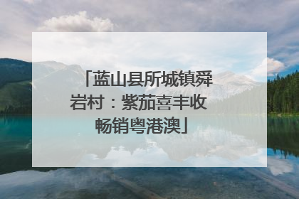 蓝山县所城镇舜岩村：紫茄喜丰收 畅销粤港澳