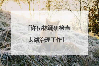 许昆林调研检查太湖治理工作