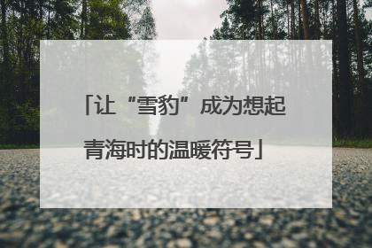 让“雪豹”成为想起青海时的温暖符号