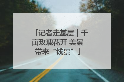 记者走基层｜千亩玫瑰花开 美景带来“钱景”