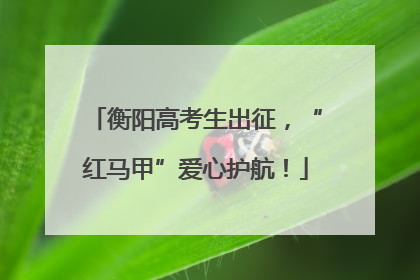 衡阳高考生出征，“红马甲”爱心护航！
