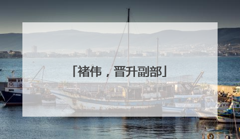 褚伟，晋升副部