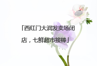 西红门大润发卖场闭店，七鲜超市接棒