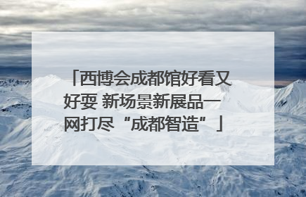 西博会成都馆好看又好耍 新场景新展品一网打尽“成都智造”
