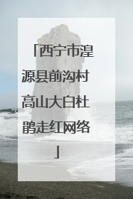 西宁市湟源县前沟村高山大白杜鹃走红网络