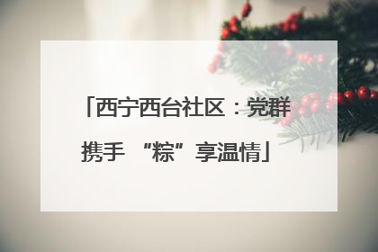 西宁西台社区：党群携手 “粽”享温情
