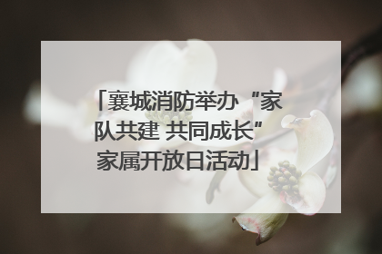襄城消防举办“家队共建 共同成长”家属开放日活动