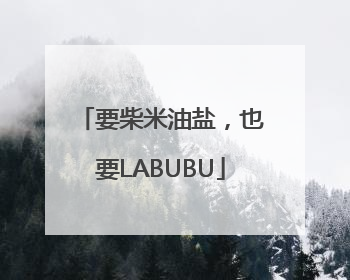 要柴米油盐，也要LABUBU