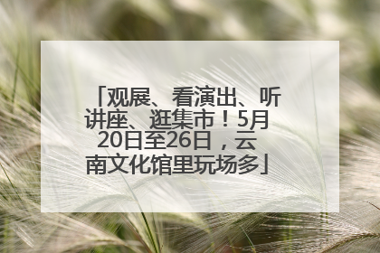 观展、看演出、听讲座、逛集市！5月20日至26日，云南文化馆里玩场多