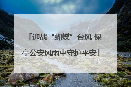 迎战“蝴蝶”台风 保亭公安风雨中守护平安