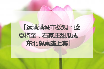 运满满城市数观：盛夏将至，石家庄甜瓜成东北餐桌座上宾