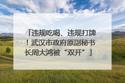 违规吃喝、违规打牌！武汉市政府原副秘书长周大鸿被“双开”