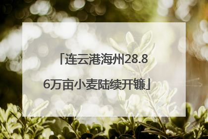 连云港海州28.86万亩小麦陆续开镰