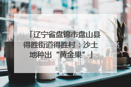 辽宁省盘锦市盘山县得胜街道得胜村：沙土地种出“黄金果”