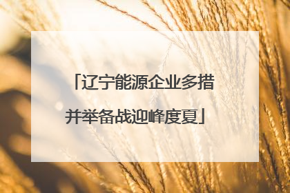 辽宁能源企业多措并举备战迎峰度夏