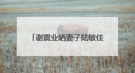 谢震业晒妻子陆敏佳孕肚照官宣喜讯：记录下第一个父亲节