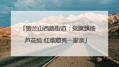 贺兰山西路街道：党旗飘扬芦花情 红歌嘹亮一家亲