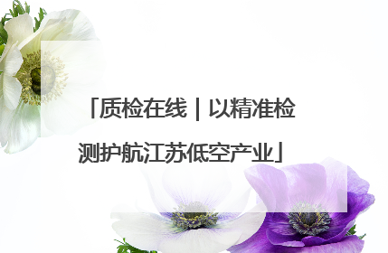 质检在线｜以精准检测护航江苏低空产业
