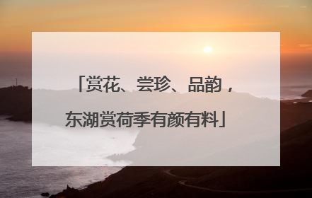 赏花、尝珍、品韵，东湖赏荷季有颜有料