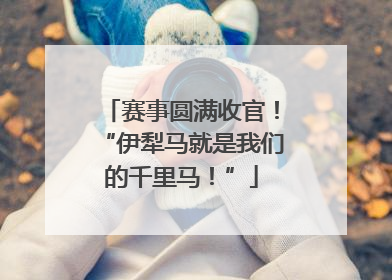 赛事圆满收官！“伊犁马就是我们的千里马！”