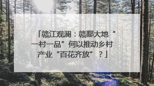 赣江观澜：赣鄱大地“一村一品”何以推动乡村产业“百花齐放”？