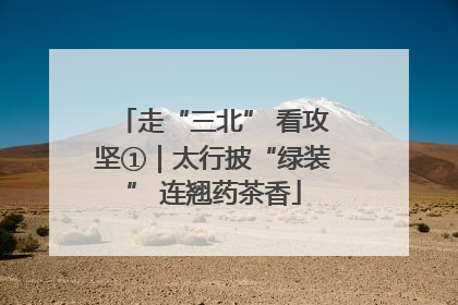 走“三北” 看攻坚①｜太行披“绿装” 连翘药茶香