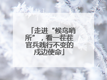 走进“候鸟哨所”，看一茬茬官兵践行不变的戍边使命