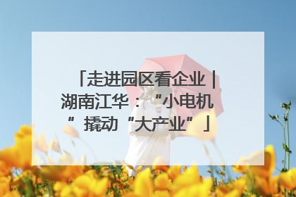 走进园区看企业｜湖南江华：“小电机”撬动“大产业”