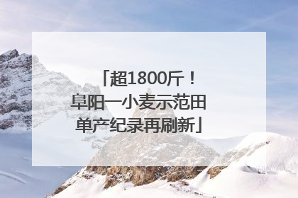 超1800斤！阜阳一小麦示范田单产纪录再刷新