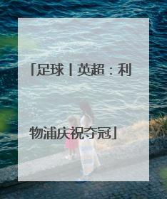 足球丨英超：利物浦庆祝夺冠
