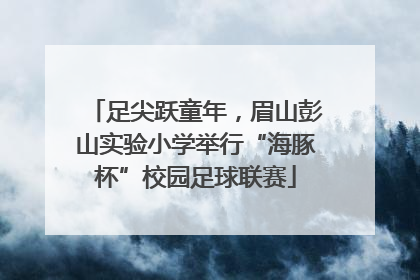 足尖跃童年，眉山彭山实验小学举行“海豚杯”校园足球联赛