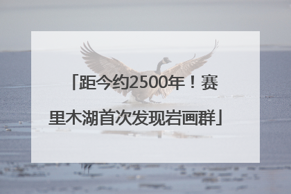 距今约2500年！赛里木湖首次发现岩画群