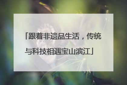 跟着非遗品生活，传统与科技相遇宝山滨江