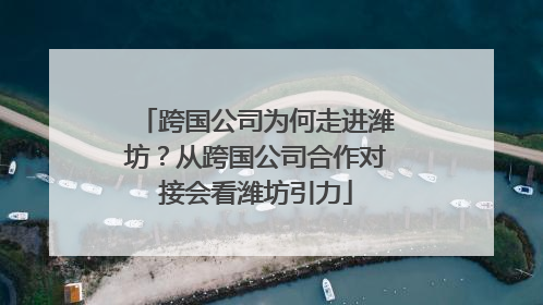 跨国公司为何走进潍坊？从跨国公司合作对接会看潍坊引力