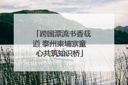 跨国漂流书香载道 泰州柬埔寨童心共筑知识桥