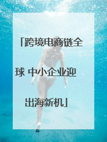 跨境电商链全球 中小企业迎出海新机